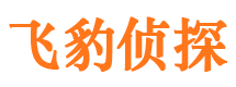 吉利外遇出轨调查取证